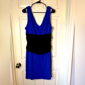 Ann Taylor Dress Size 14